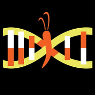 17q12 Foundation logo