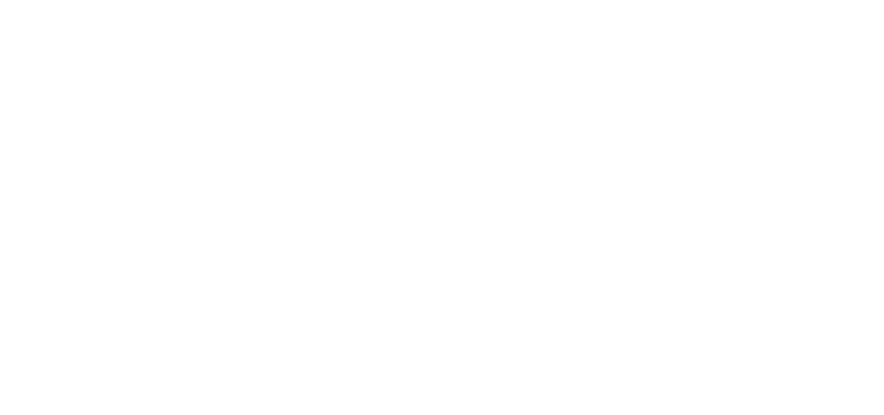 Corporate Angel Network logo