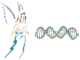 National Association of Rare Disease Patients Organizations logo